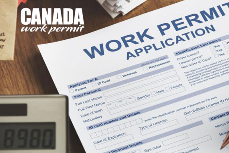 Canada Work Permit là gì?