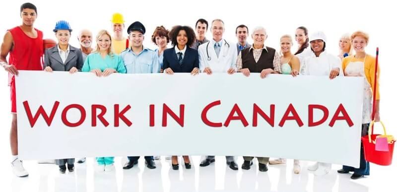 Xuất khẩu lao động tại Canada nên chọn ngành nghề nào?